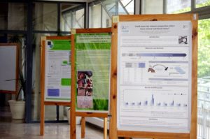 ewen_2016_conferences__3__-_some_scientific_posters