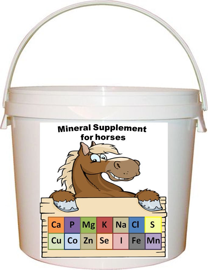 Dietary Minerals for Horses MB Equine Services