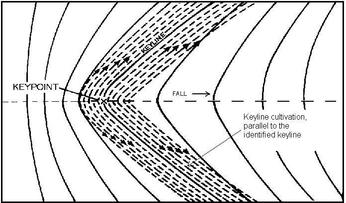 Figure 3. Keyline cultivation. (Illustration adapted from Yeomans Keyline Plan (4).