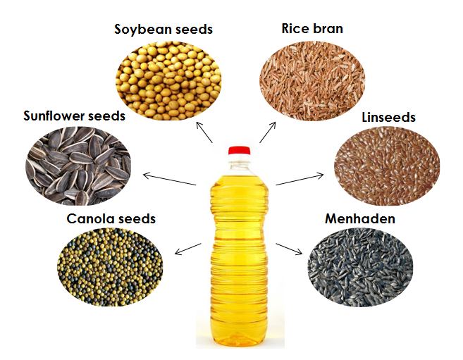 Omega Fatty Acid Supplements for Horses MB Equine Services