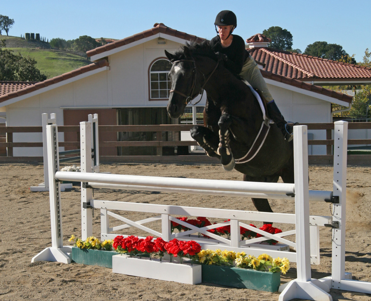 139-Johnston-Road-Equestrian-Jumping-photo-b