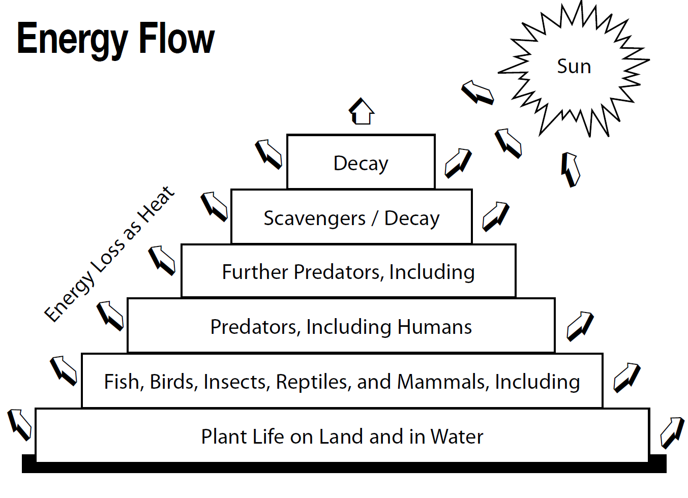 energy-flow