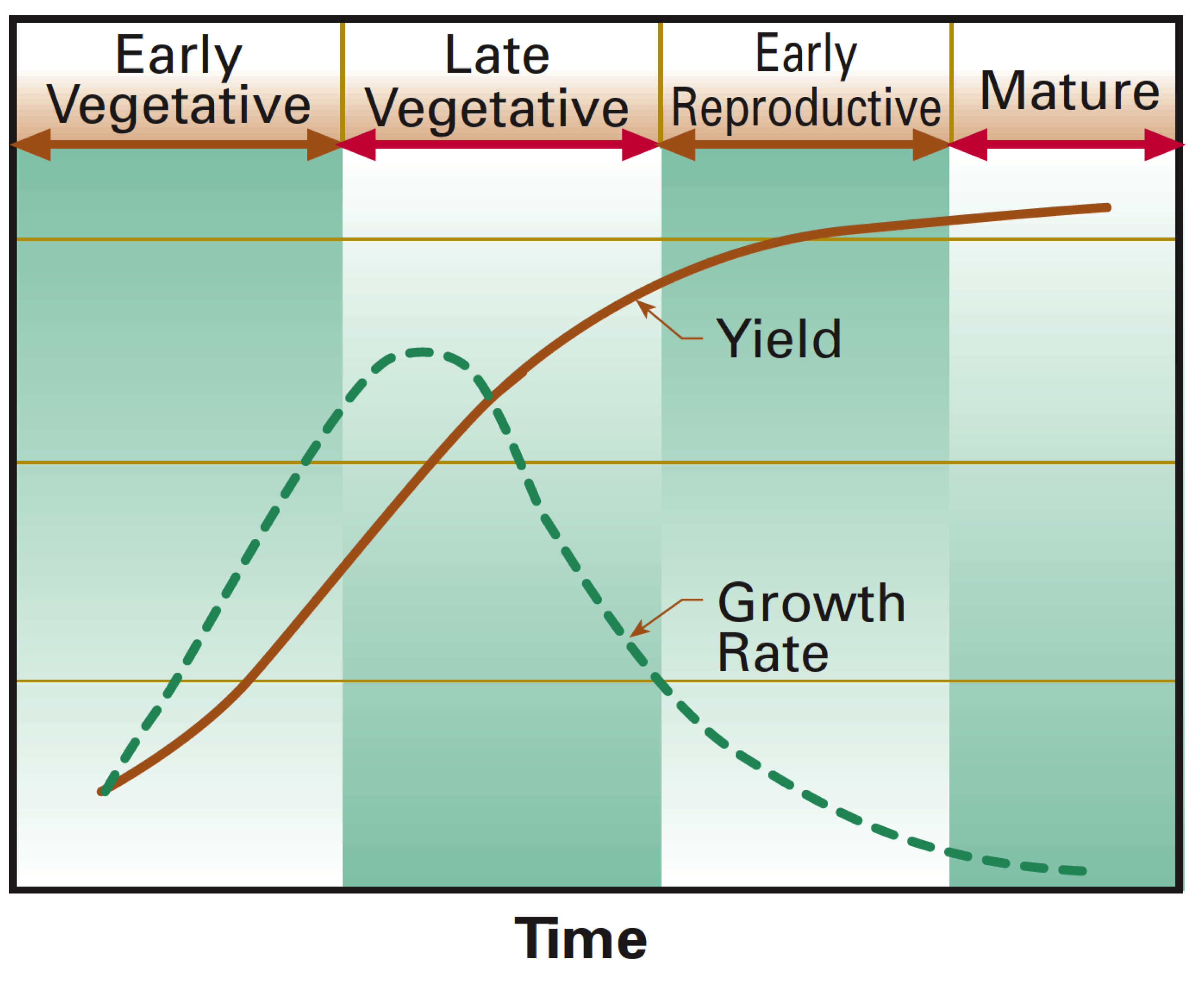 Figure 4. Growth rate changes during growth cycle. USDA Natural Resources Conservation Service