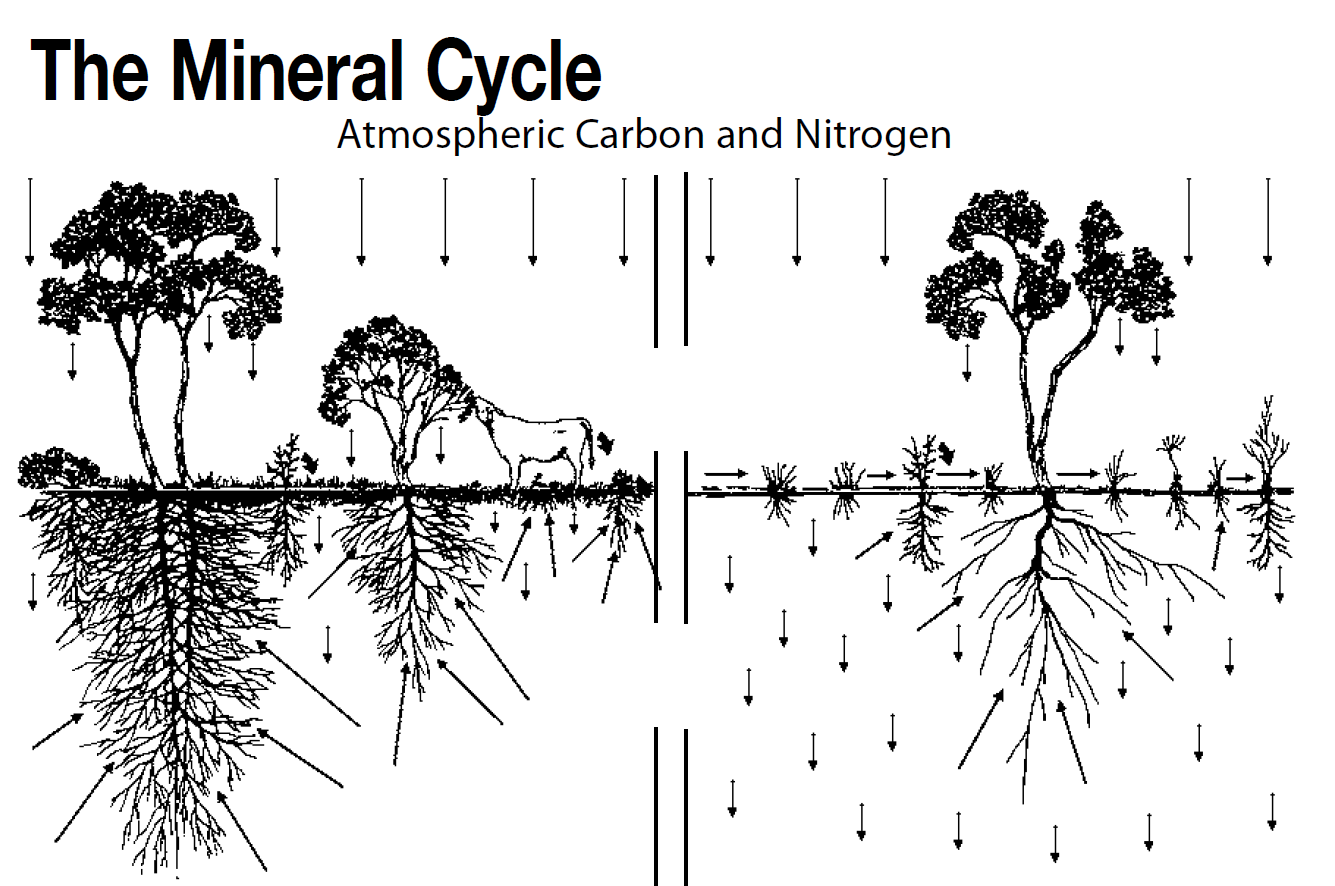 mineral-cycle