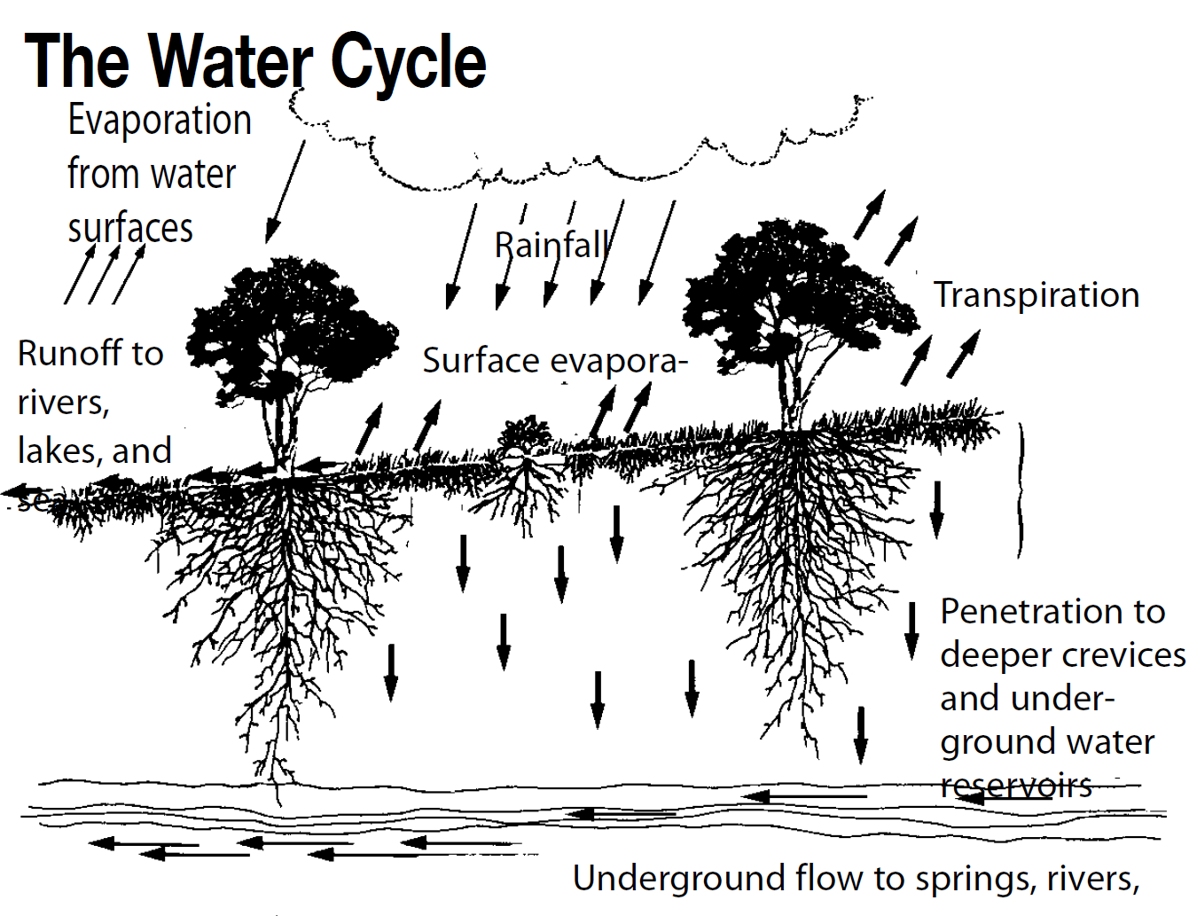 water_cycle